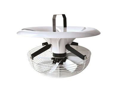 Other fans